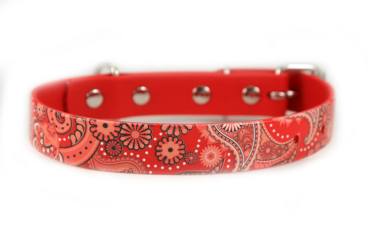 Red Paisley Waterproof Sport Dog Collar - 1 inch